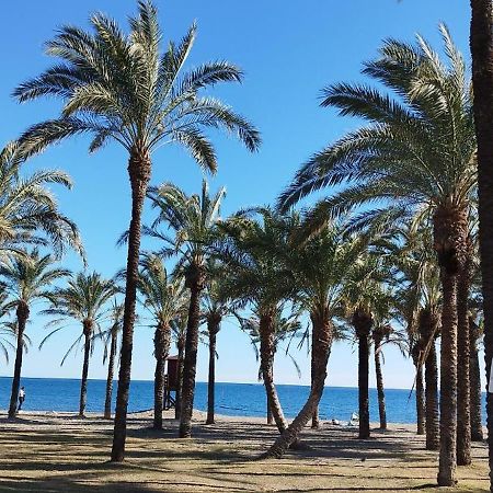טורמולינוס San Antonio - Beach, Pool And Terrace מראה חיצוני תמונה