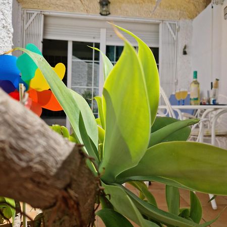 טורמולינוס San Antonio - Beach, Pool And Terrace מראה חיצוני תמונה