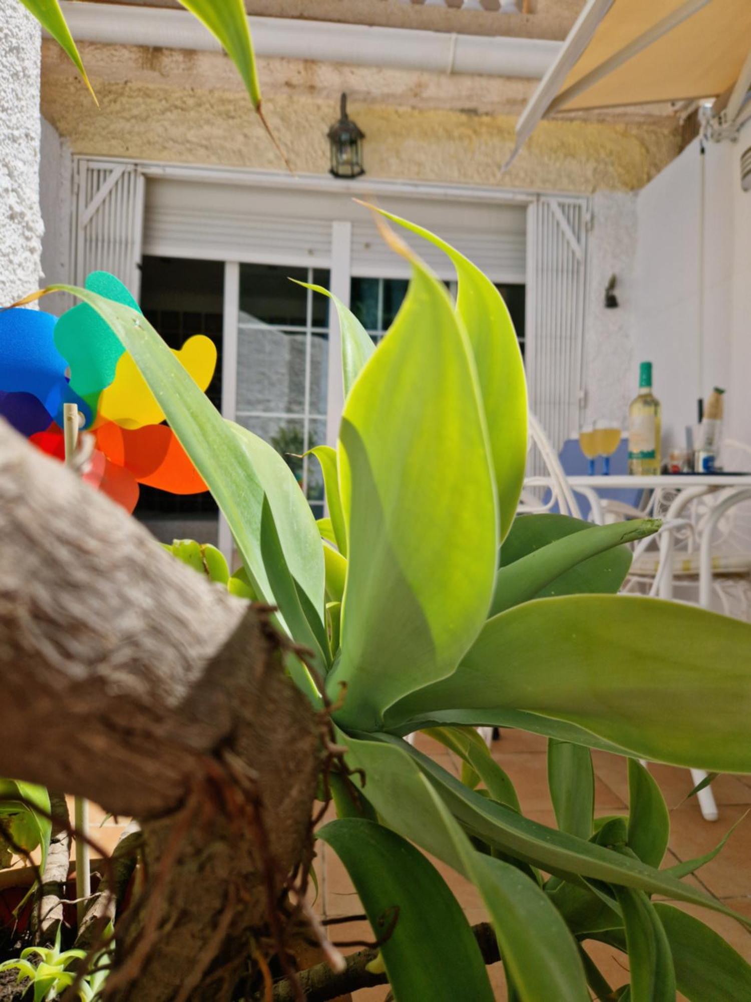 טורמולינוס San Antonio - Beach, Pool And Terrace מראה חיצוני תמונה