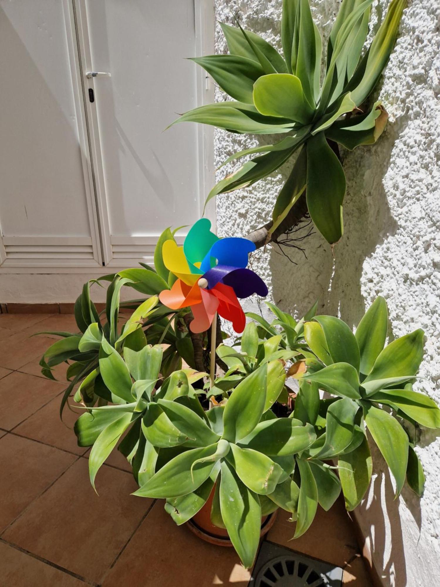טורמולינוס San Antonio - Beach, Pool And Terrace מראה חיצוני תמונה